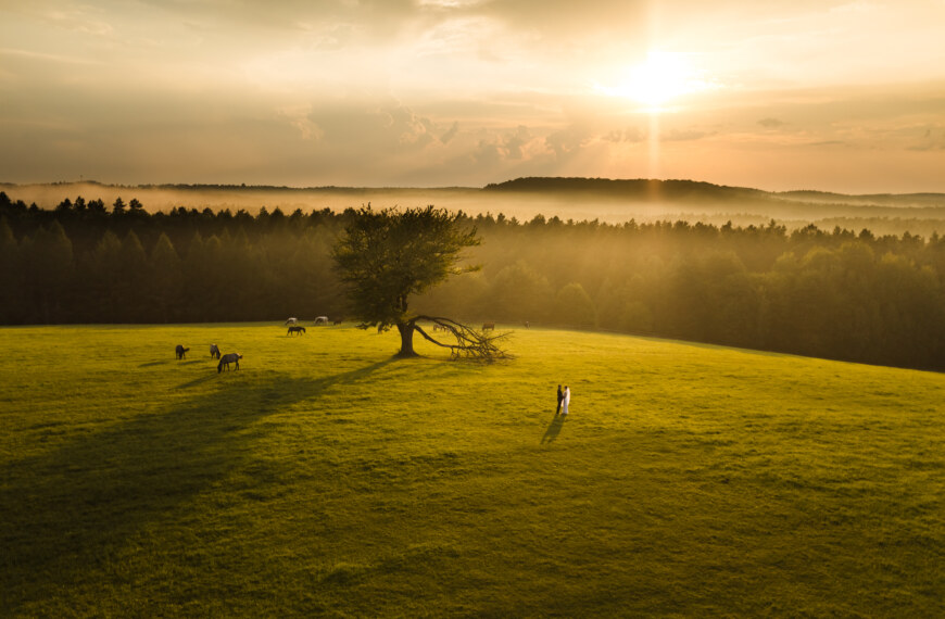 Zabezpieczone: Agata & Damian | Sesja Ślubna